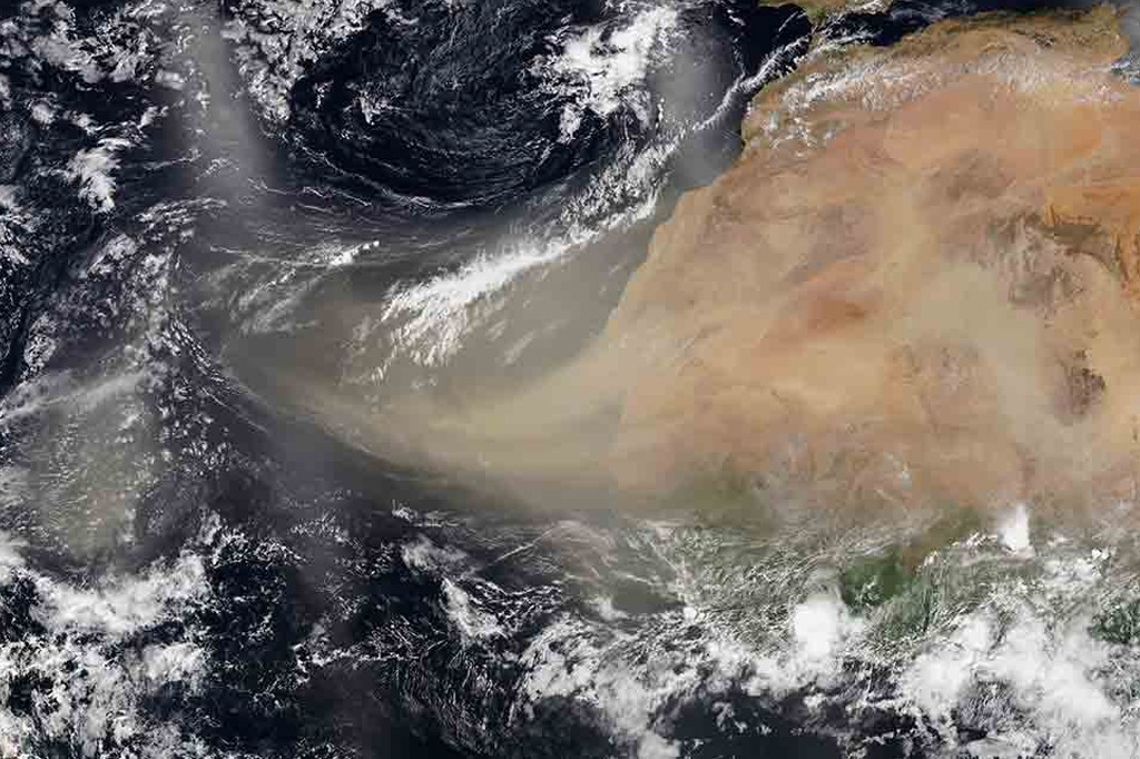 Este domingo llega a Venezuela el Polvo del Sahara Este domingo llega a Venezuela el Polvo del Sahara