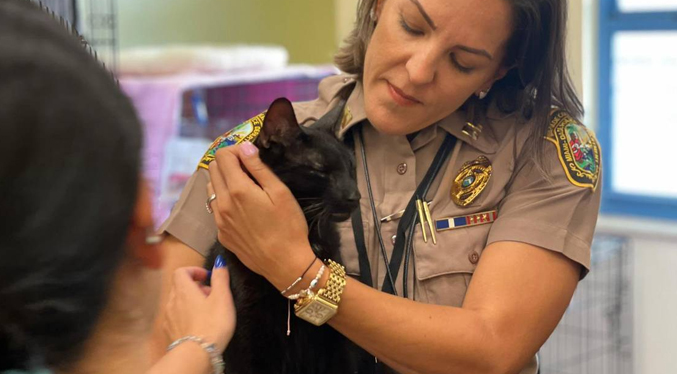 Hallan vivo a gato que estaba en el edificio derrumbado de Miami