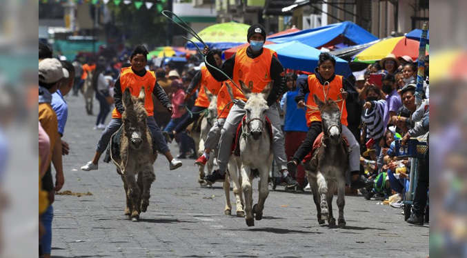 Los Andes de Ecuador acogen a la carrera de burros más grande del mundo –  Foco Informativo